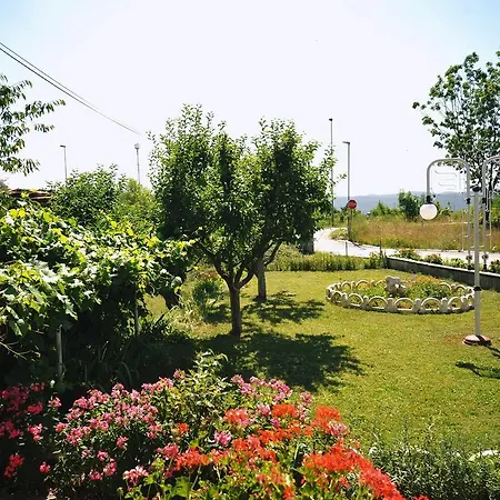 Guest house Rutar 3*